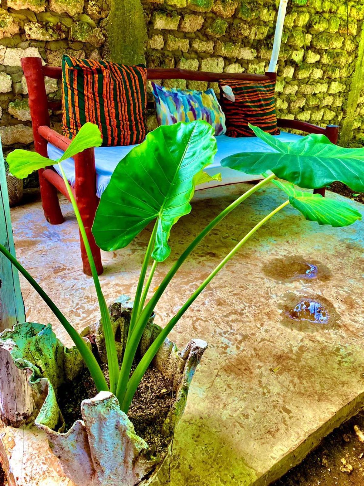 شاطئ دياني African Hut Tiny Cottage المظهر الخارجي الصورة